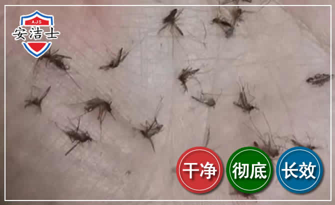 苍南蚊子防治-灭蚊