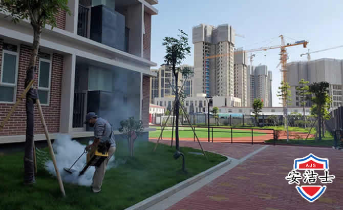 苍南工厂工地除白蚁