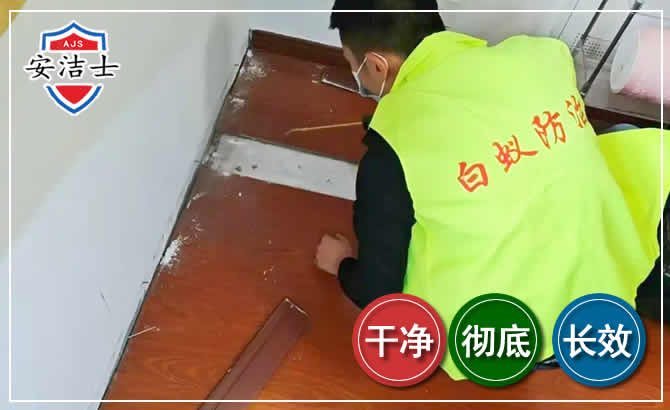 苍南除四害现场