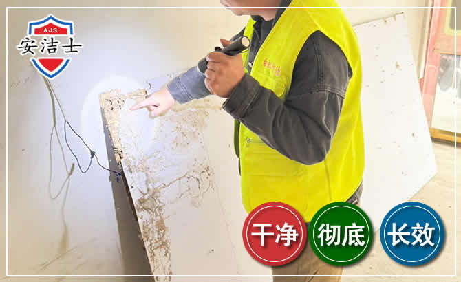 苍南除白蚁现场