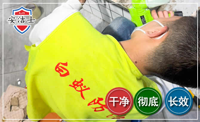 苍南白蚁根治现场